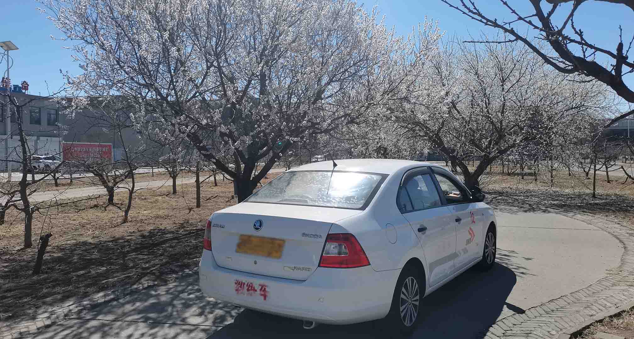 在長(zhǎng)征駕校和春天來個(gè)約會(huì)